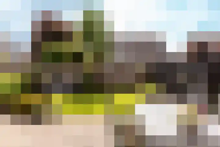 Trompetdreef 16 Harderwijk thumbnail 26