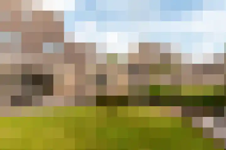 Trompetdreef 16 Harderwijk thumbnail 29