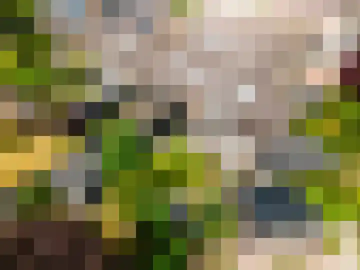Trompetdreef 16 Harderwijk thumbnail 30