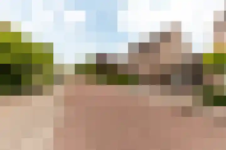 Trompetdreef 16 Harderwijk thumbnail 34