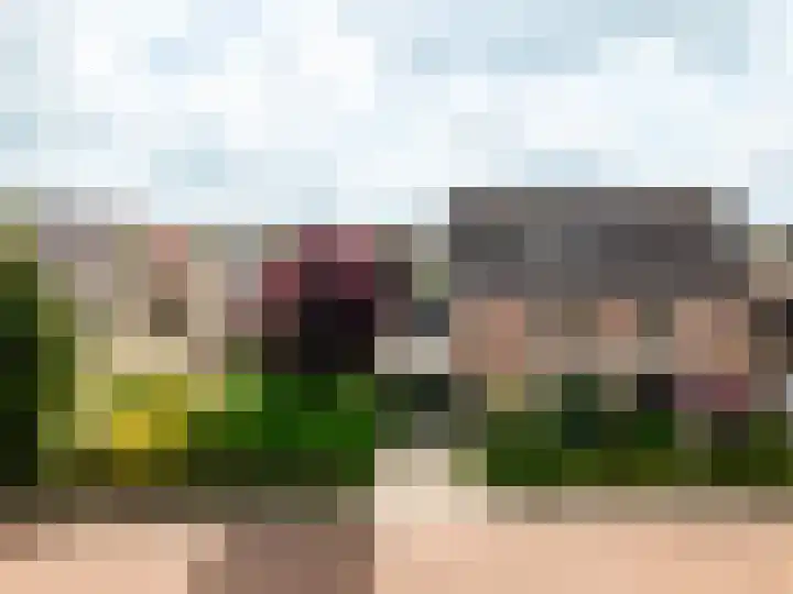 Trompetdreef 16 Harderwijk thumbnail 36