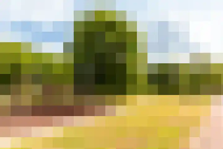 Trompetdreef 16 Harderwijk thumbnail 37