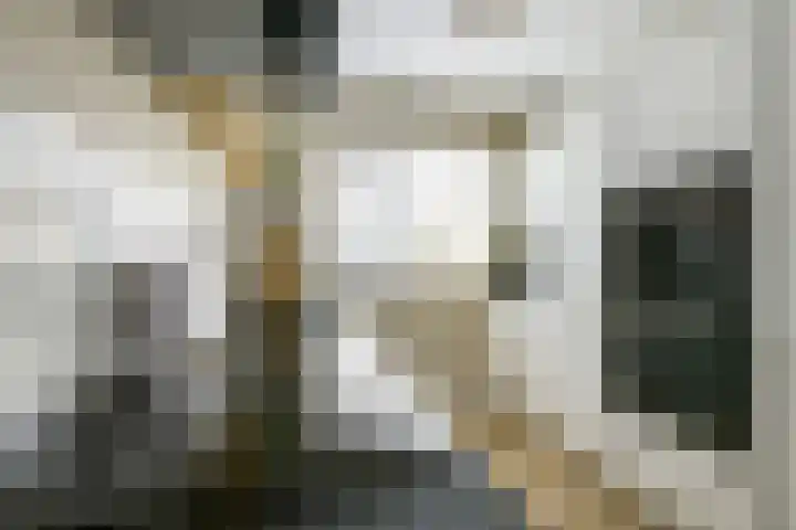Trompethof 10 Nieuwegein thumbnail 17