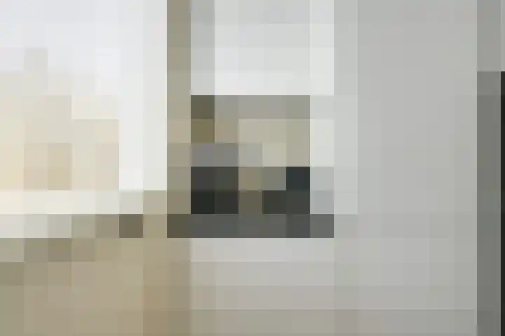 Trompethof 10 Nieuwegein thumbnail 19
