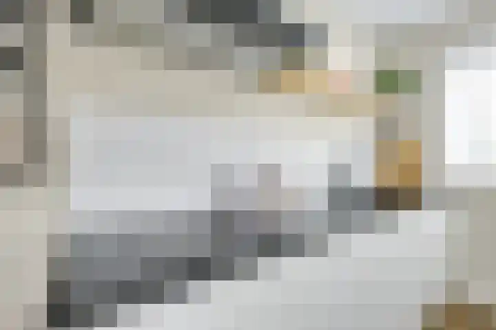 Trompethof 10 Nieuwegein thumbnail 21
