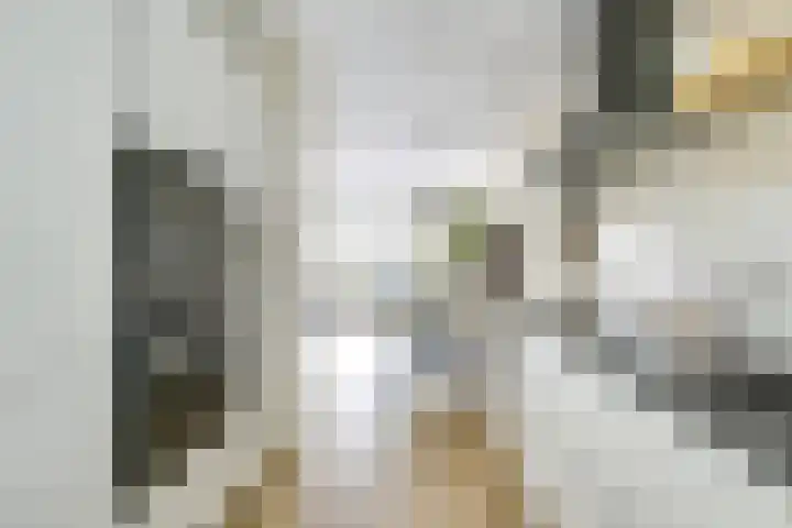 Trompethof 10 Nieuwegein thumbnail 22