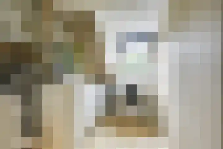 Trompethof 10 Nieuwegein thumbnail 33