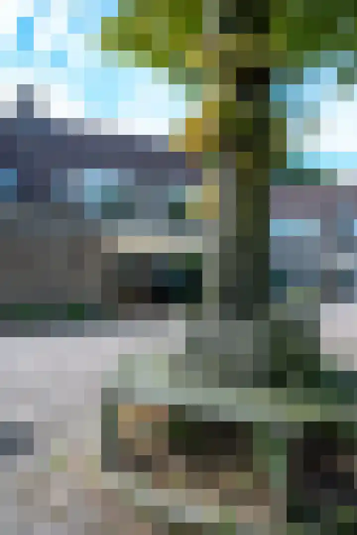 Trompethof 10 Nieuwegein thumbnail 43