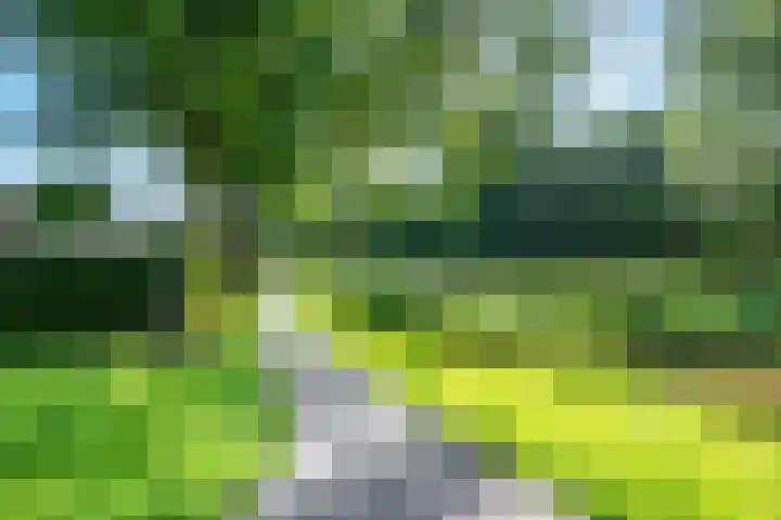 Trompethof 10 Nieuwegein thumbnail 44