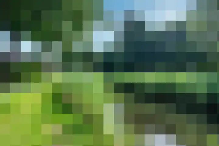 Trompethof 10 Nieuwegein thumbnail 45