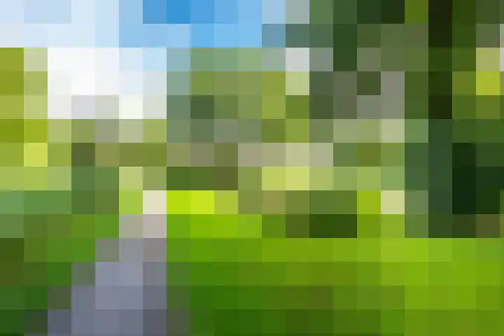 Trompethof 10 Nieuwegein thumbnail 46