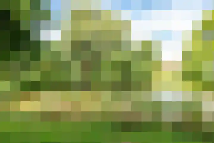 Trompethof 10 Nieuwegein thumbnail 47