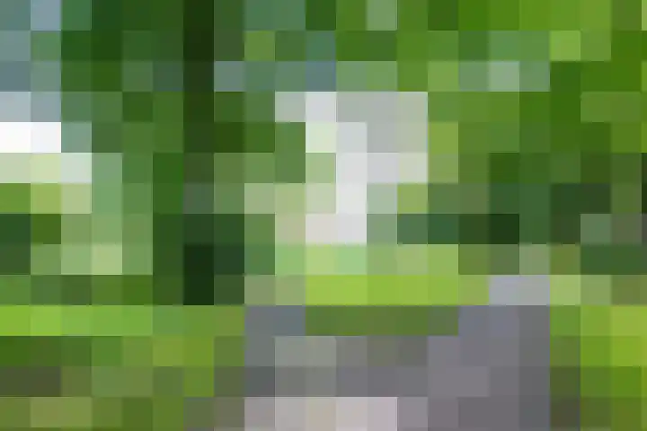 Trompethof 10 Nieuwegein thumbnail 48