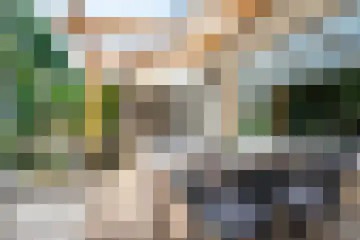 Trompethof 10 Nieuwegein thumbnail 7