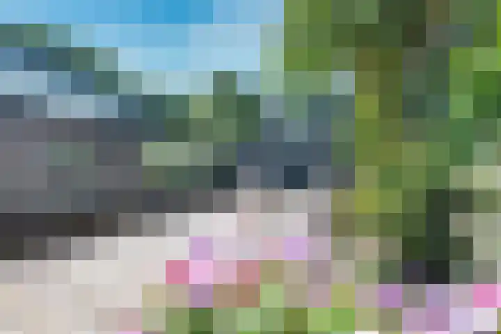Trompethof 10 Nieuwegein thumbnail 9