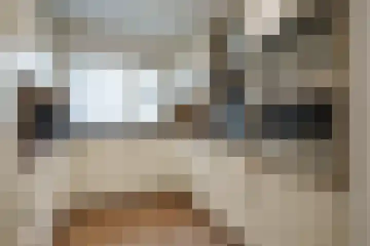 Trompethof 3 Nieuwegein thumbnail 10