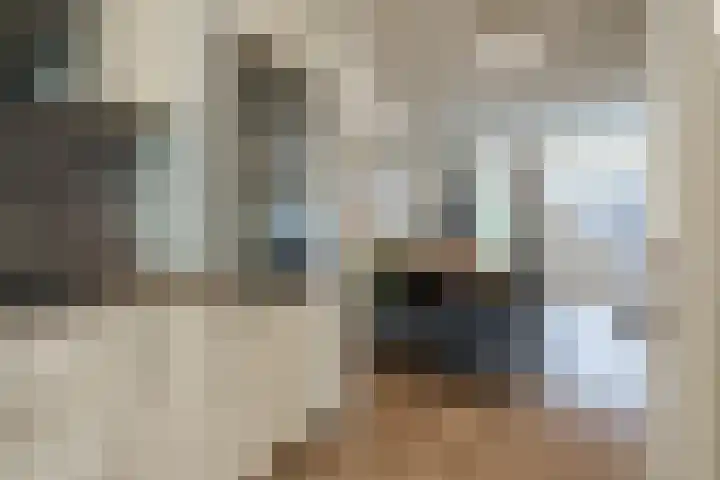 Trompethof 3 Nieuwegein thumbnail 11
