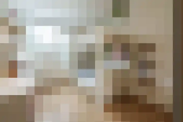 Trompethof 3 Nieuwegein thumbnail 13