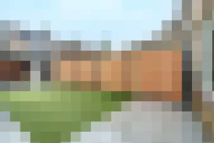 Trompethof 3 Nieuwegein thumbnail 19