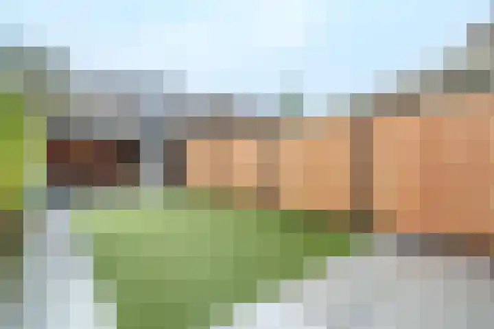 Trompethof 3 Nieuwegein thumbnail 20