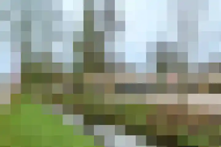 Trompethof 3 Nieuwegein thumbnail 25