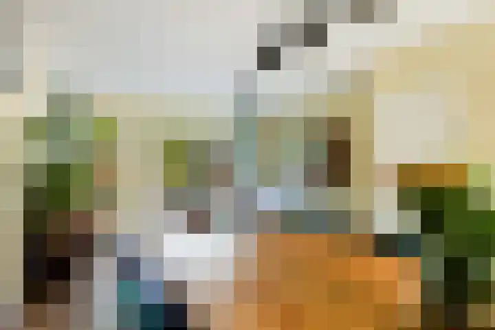 Trompethof 7 Nieuwegein thumbnail 13