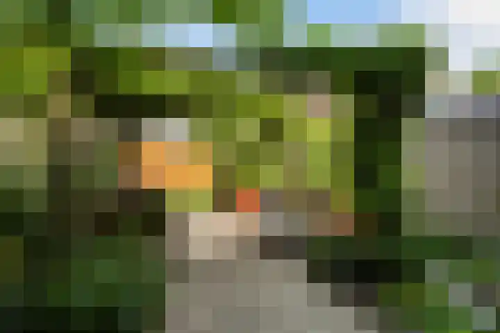 Trompethof 7 Nieuwegein thumbnail 18