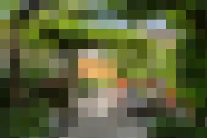 Trompethof 7 Nieuwegein thumbnail 19