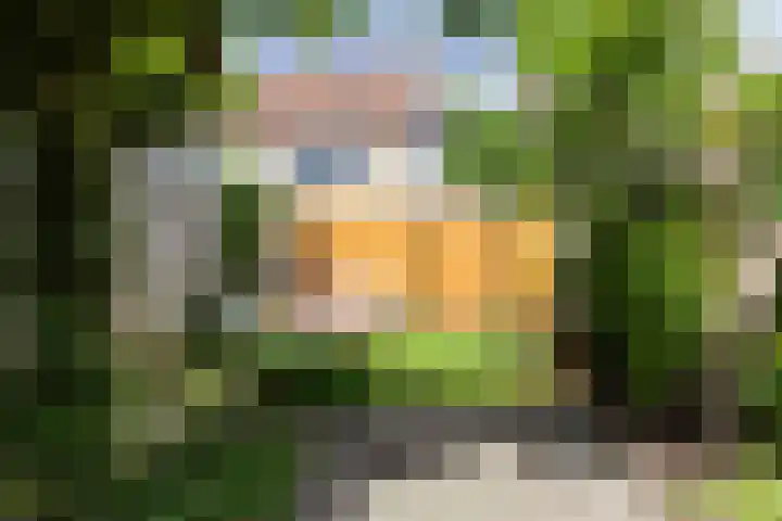 Trompethof 7 Nieuwegein thumbnail 21