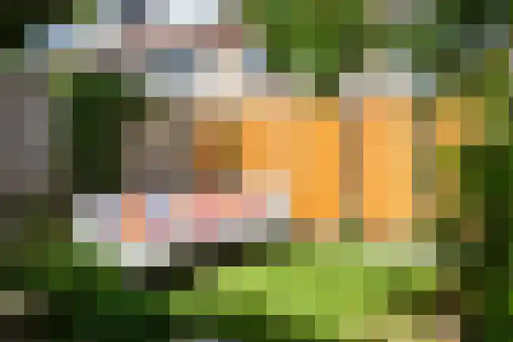 Trompethof 7 Nieuwegein thumbnail 22