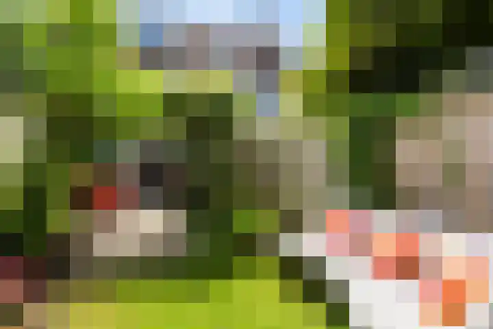 Trompethof 7 Nieuwegein thumbnail 23