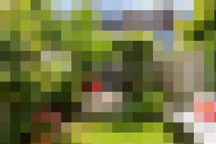 Trompethof 7 Nieuwegein thumbnail 24