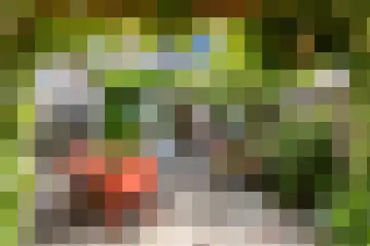 Trompethof 7 Nieuwegein thumbnail 25