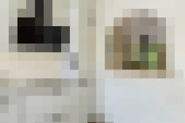 Trompethof 7 Nieuwegein thumbnail 34