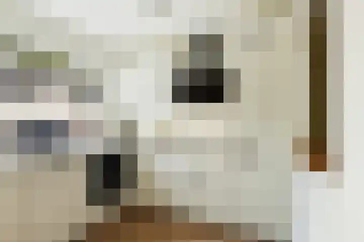 Trompethof 7 Nieuwegein thumbnail 35