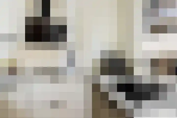 Trompethof 7 Nieuwegein thumbnail 37