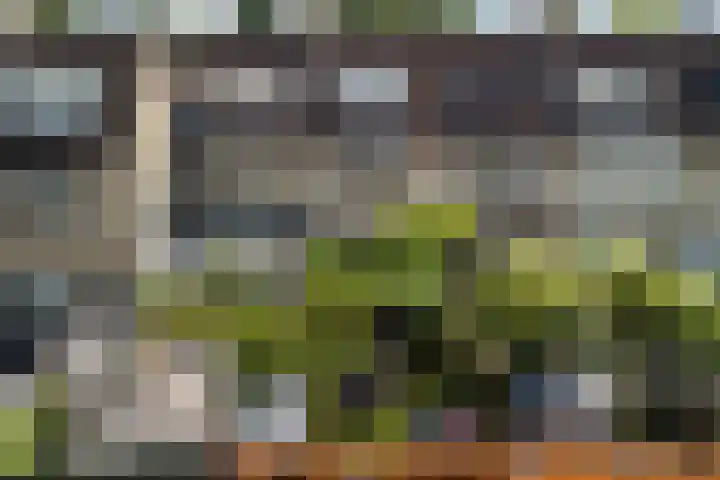 Trompethof 7 Nieuwegein thumbnail 60