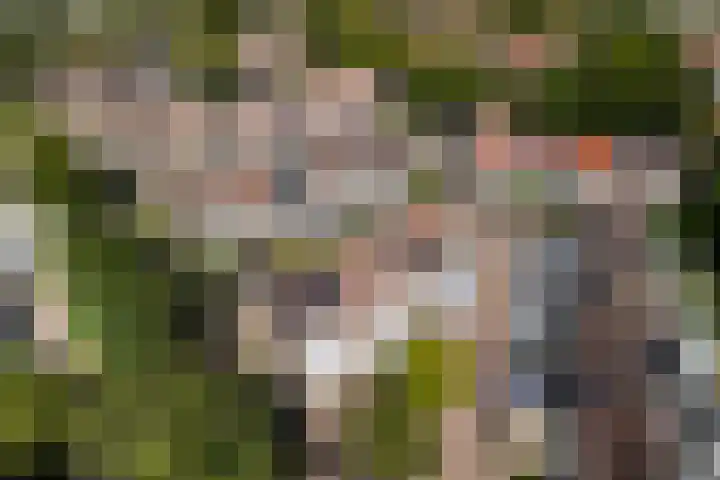 Trompethof 7 Nieuwegein thumbnail 61