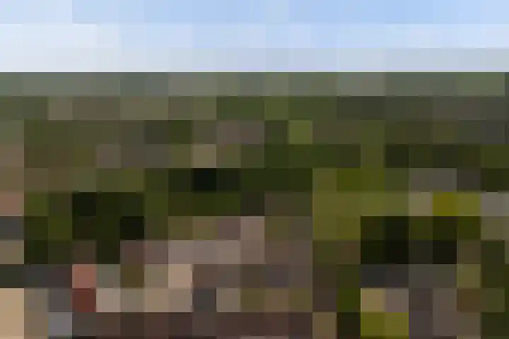 Trompethof 7 Nieuwegein thumbnail 62