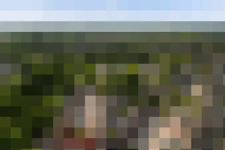 Trompethof 7 Nieuwegein thumbnail 63