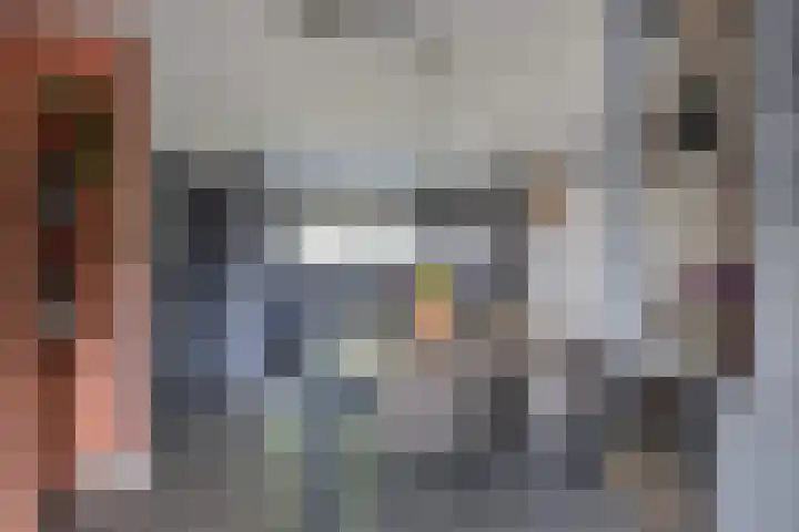 Trompetlaan 4 Etten-Leur thumbnail 13