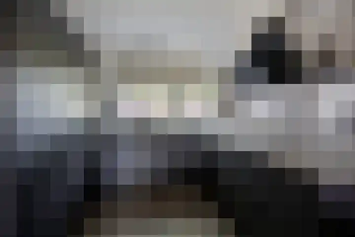 Trompetlaan 4 Etten-Leur thumbnail 15