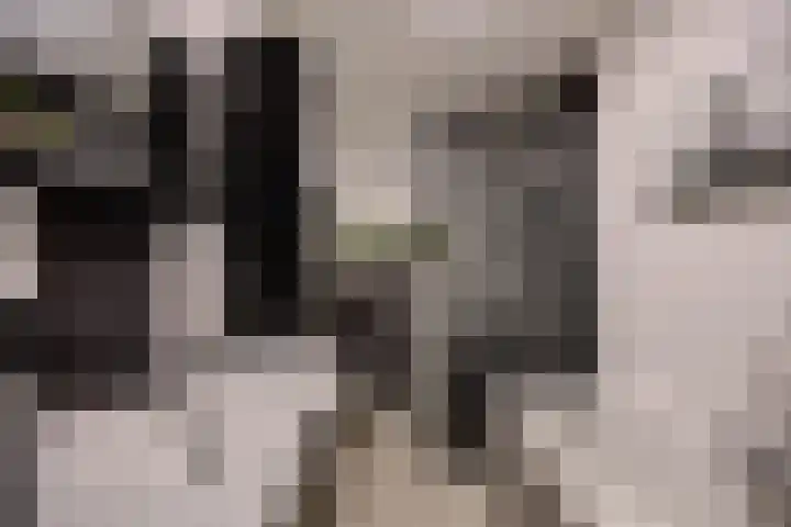 Trompetlaan 4 Etten-Leur thumbnail 25