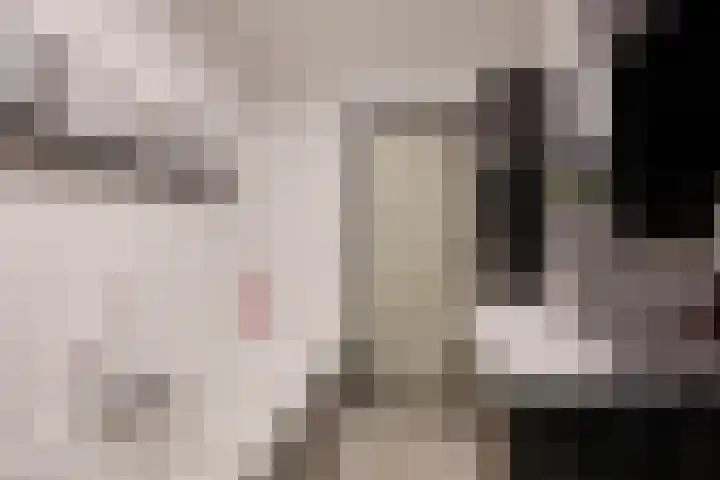 Trompetlaan 4 Etten-Leur thumbnail 27
