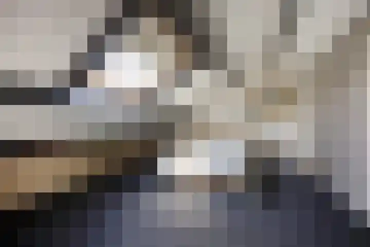 Trompetlaan 4 Etten-Leur thumbnail 29