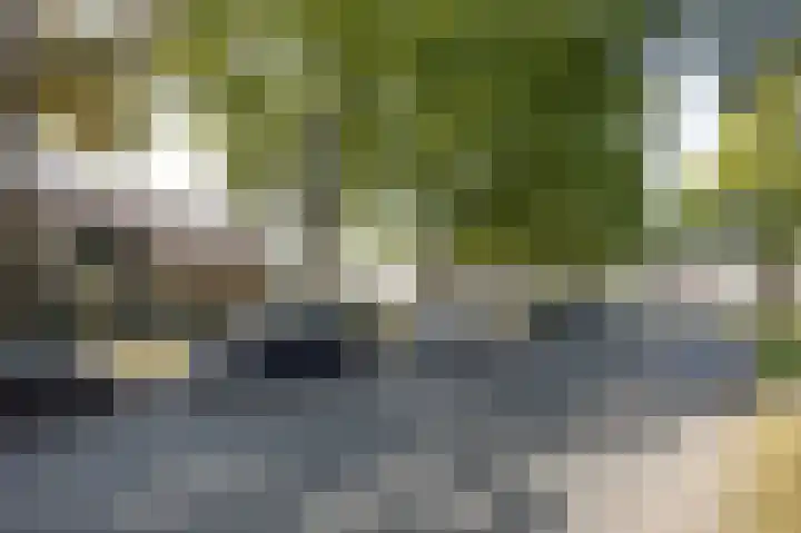 Trompetlaan 4 Etten-Leur thumbnail 38