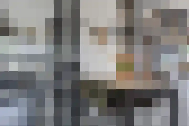 Trompetlaan 4 Etten-Leur thumbnail 8