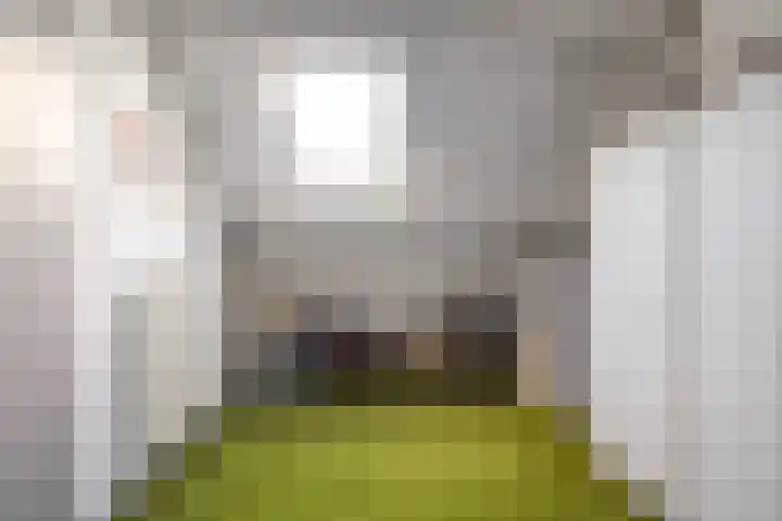 Trompetlaan 77 Etten-Leur thumbnail 23