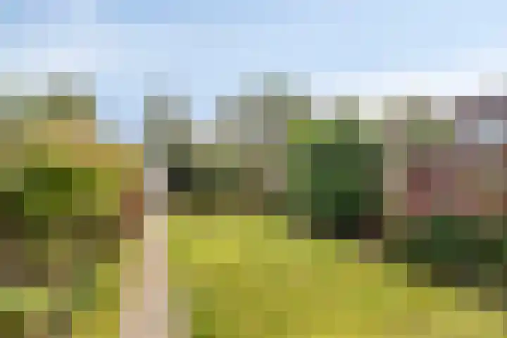 Trompetlaan 77 Etten-Leur thumbnail 25