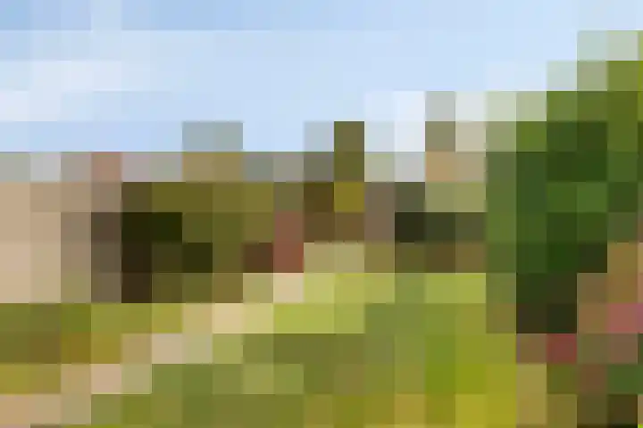 Trompetlaan 77 Etten-Leur thumbnail 26